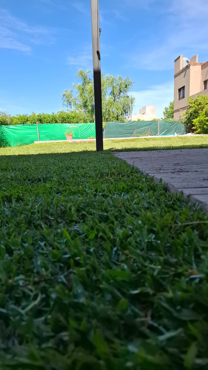 Césped — Ang Garden's, servicio de jardinería en Rosario, Funes y Roldán