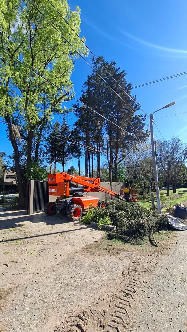 Poda de árboles con plataforma elevadora y retiro de restos